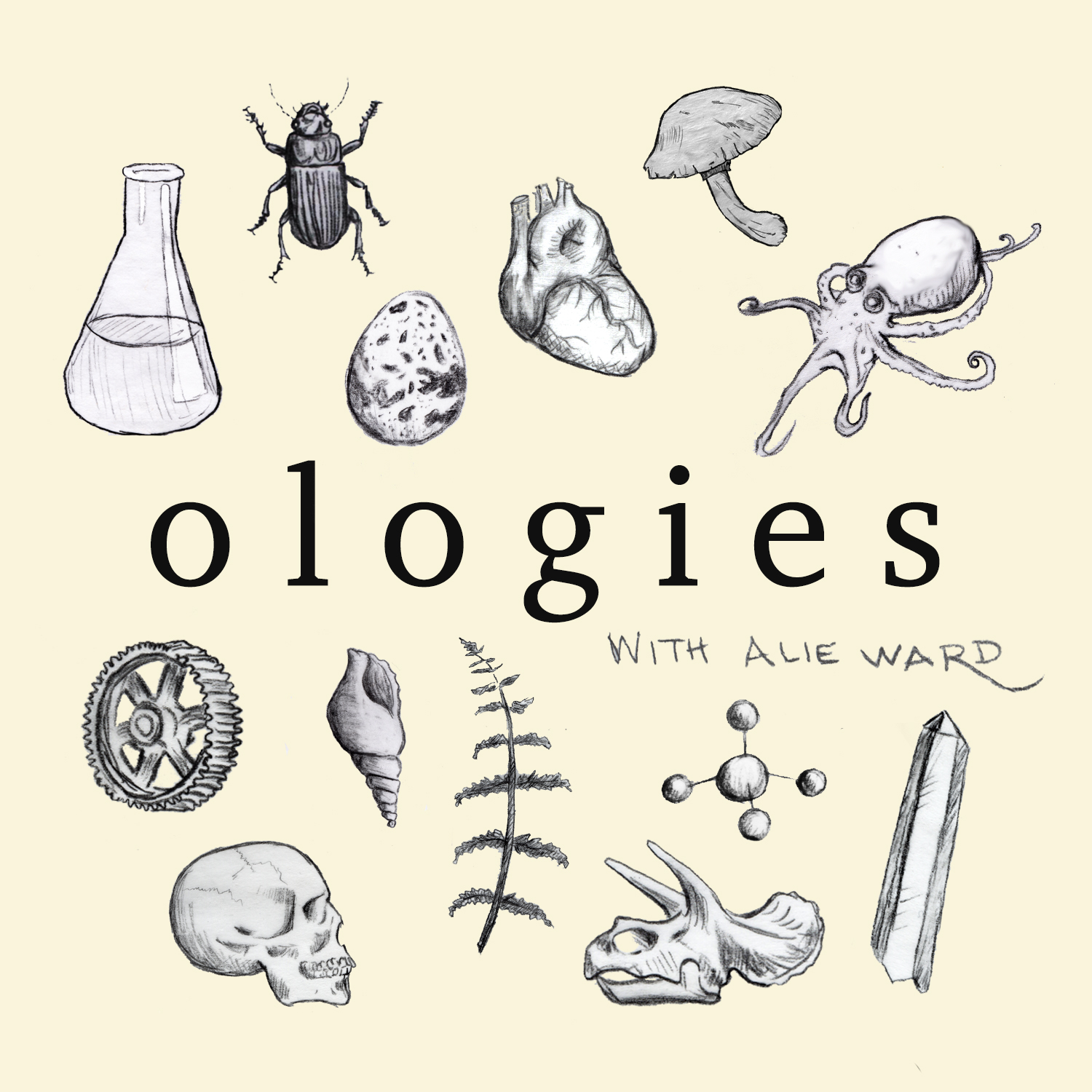 Weekly Favorites #4